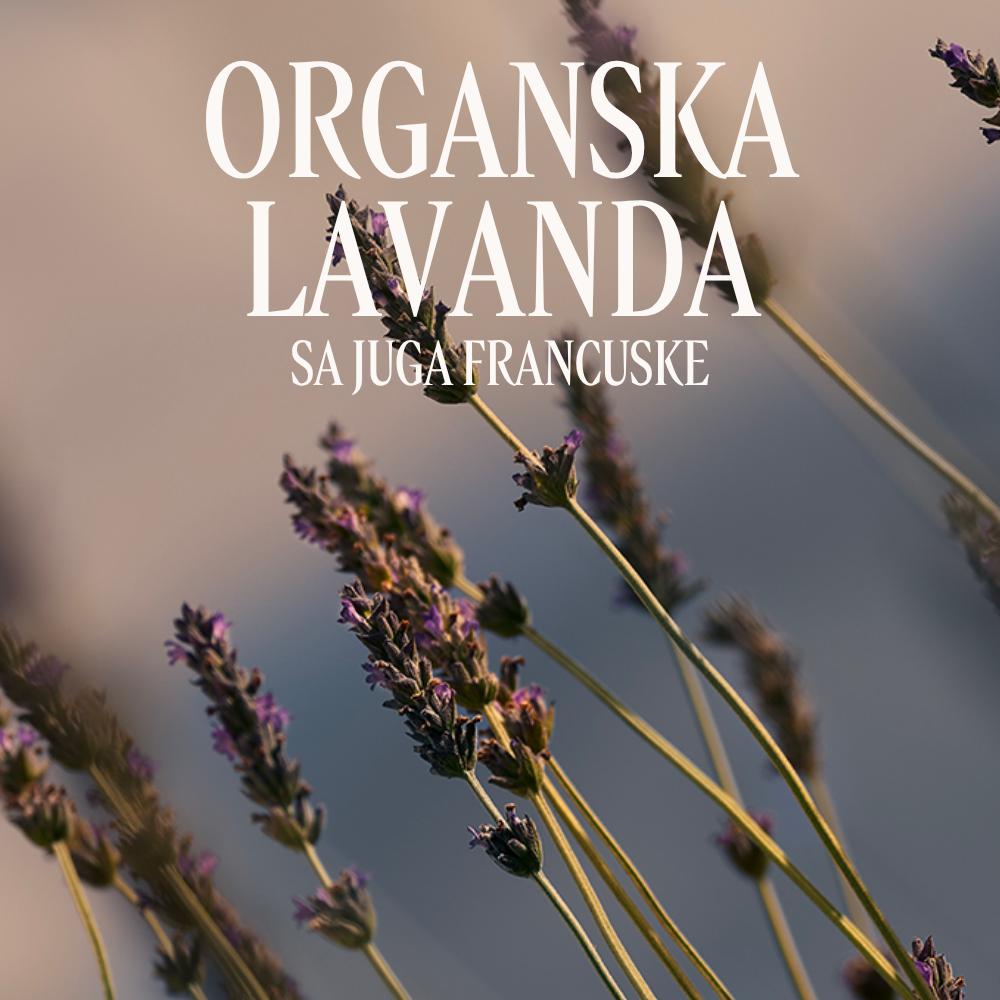Lavande parfemisana krema za ruke