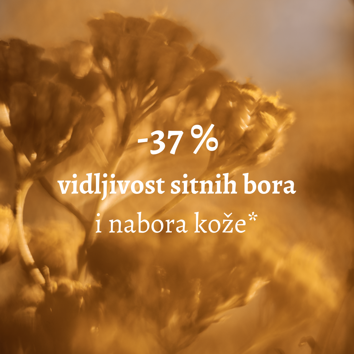 Immortelle Divine krema za lice - unapređena formula