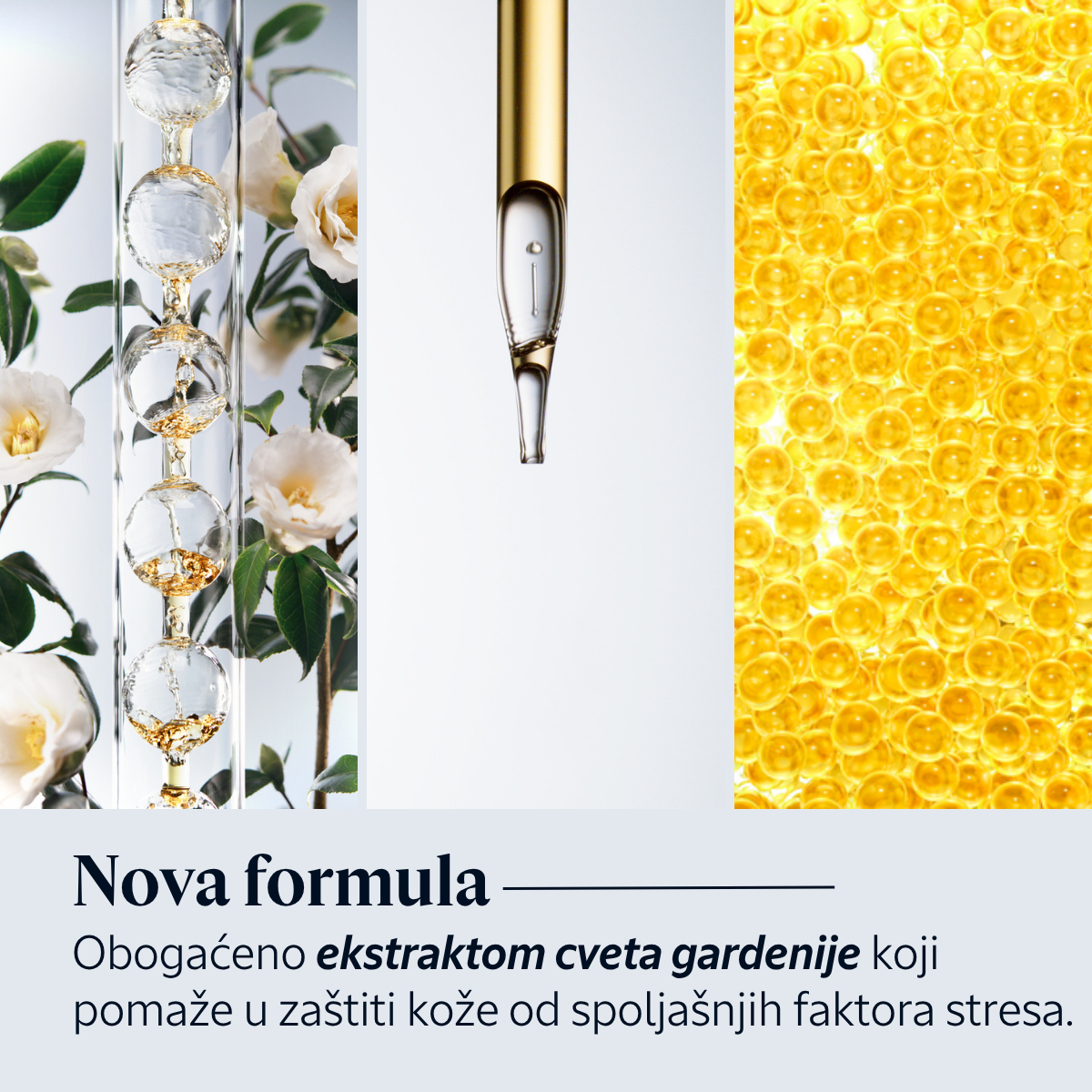 Immortelle Reset noćni serum za negu lica - unapređena formula