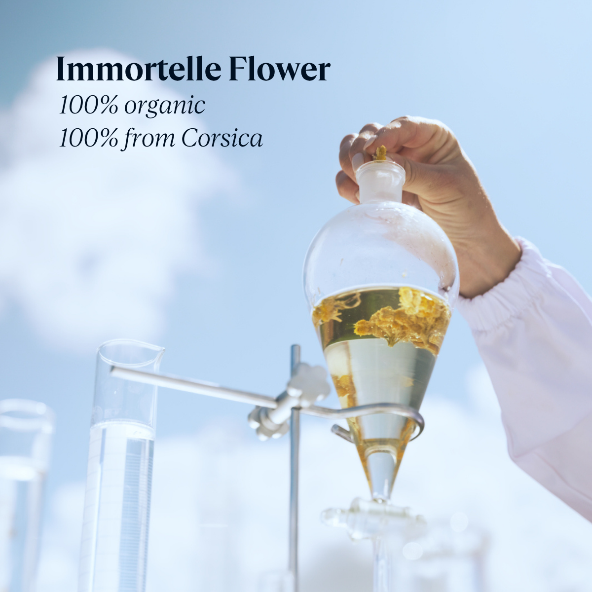 Immortelle Reset noćni serum za negu lica - unapređena formula