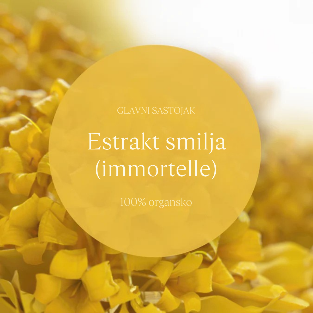 Immortelle Precious krema za lice