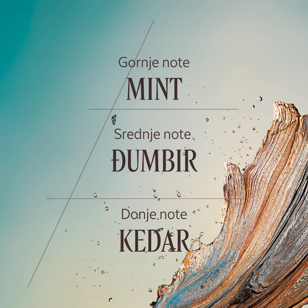 Cèdre Gingembre Eau de Toilette