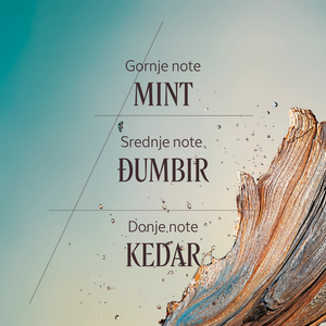 Cèdre Gingembre Eau de Toilette