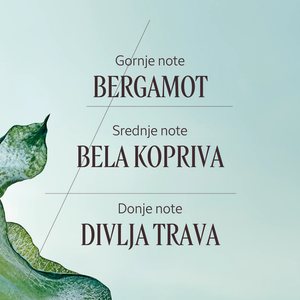 Ortie Blanche Eau de Parfum