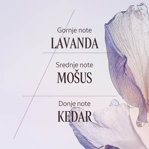 Lavande Blanche Eau de Toilette