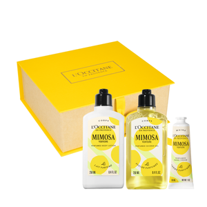 Mimosa – Sunčani mirisni ritual