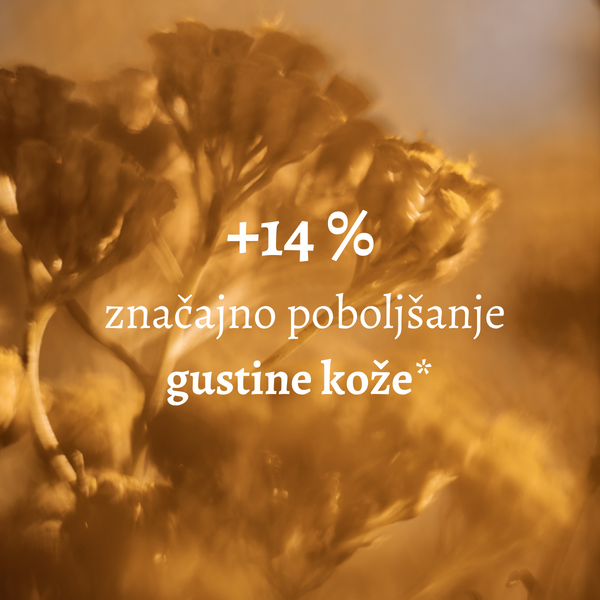 Immortelle Divine krema za lice - unapređena formula